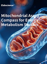 Energy Metabolism (2607)